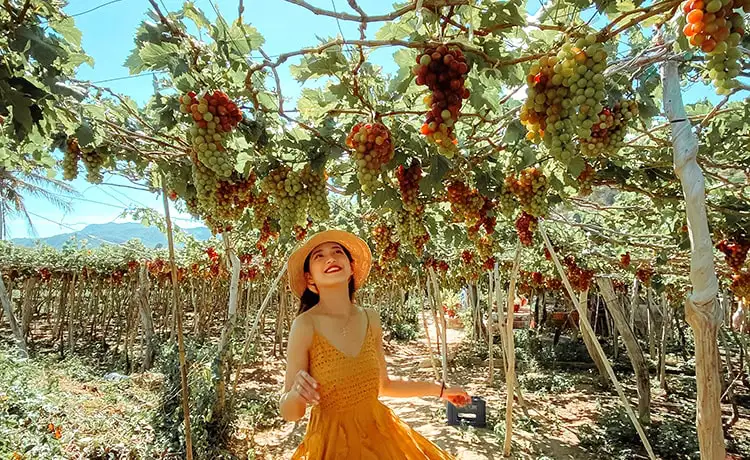 ảnh đẹp du lịch bình hưng