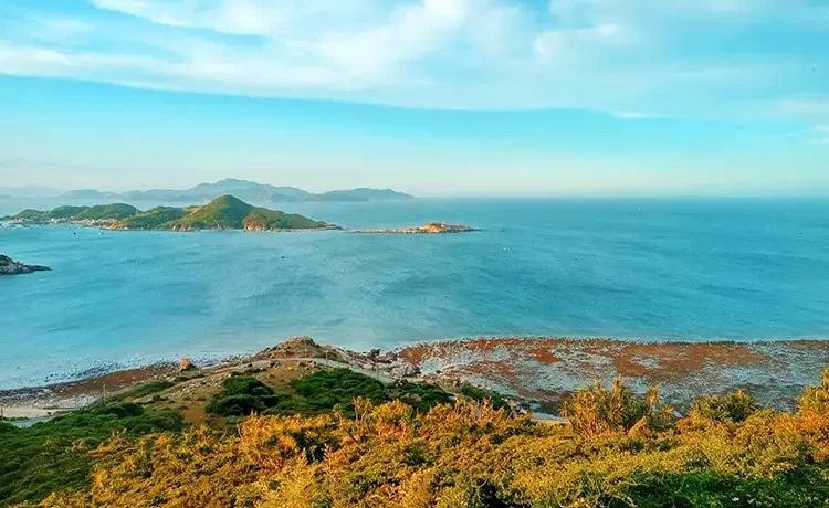 Tour du lịch Bình Hưng 2 ngày 1 đêm Tour du lịch Bình Hưng 2 ngày 1 đêm