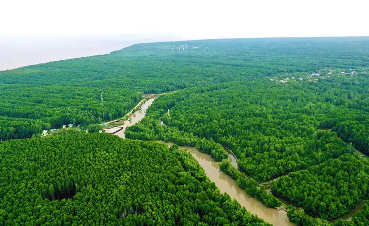 tour du lịch Cà Mau