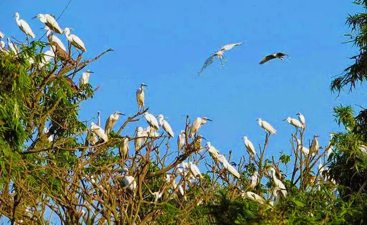 tour du lịch Cà Mau