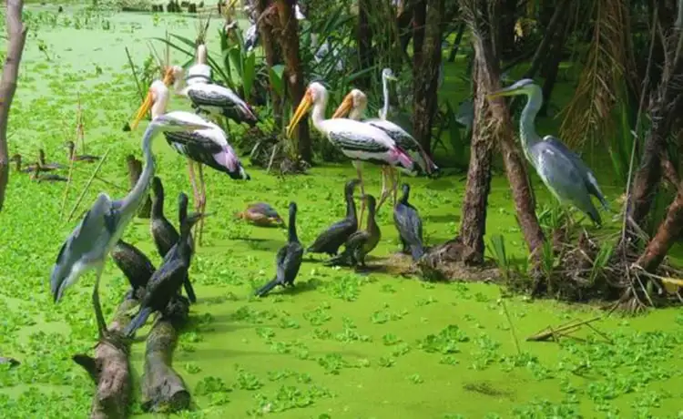 tour du lịch Cà Mau