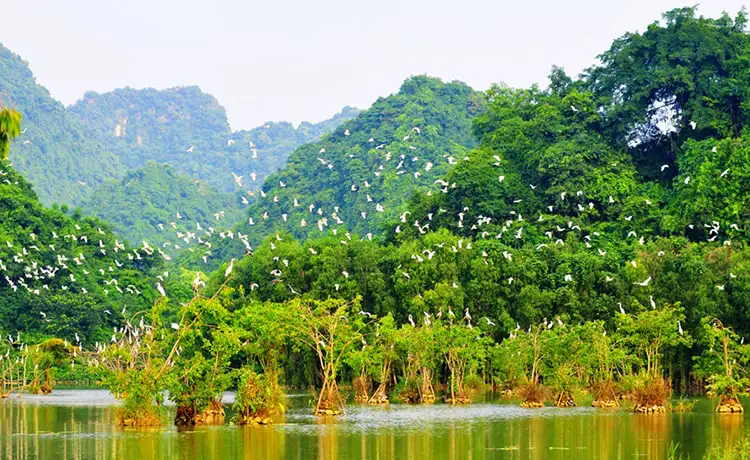 tour du lịch Cà Mau
