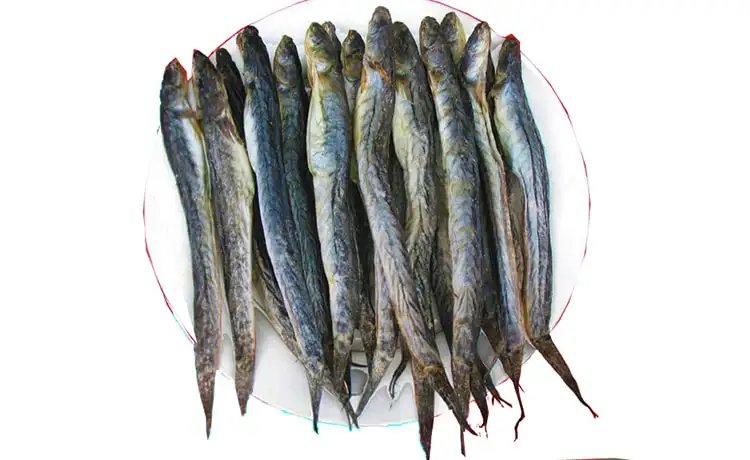 tour du lịch Cà Mau