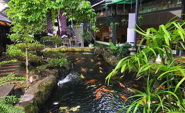 tour du lịch Cần Thơ