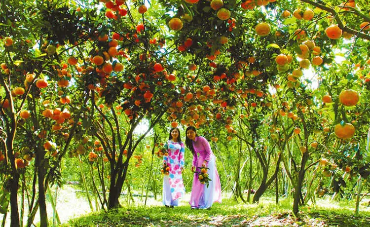 tour bạc liêu cà mau cần thơ 3 ngày 2 đêm