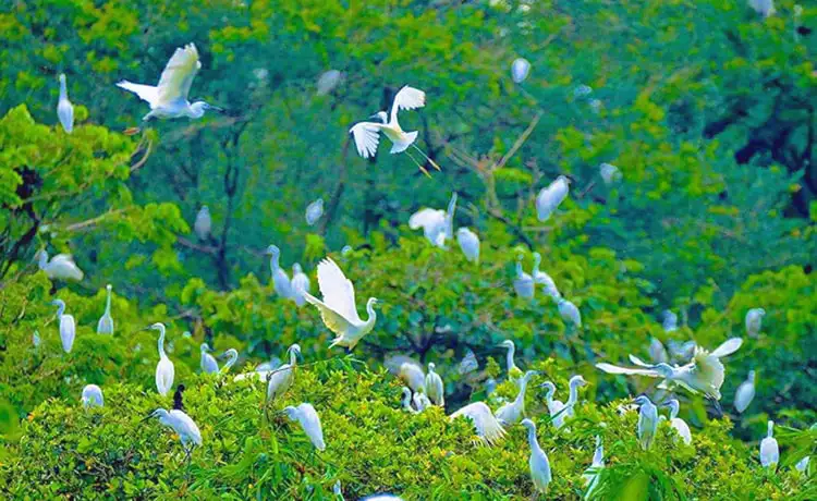 du lịch Cần Thơ