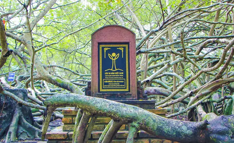 tour du lịch Cần Thơ tour du lịch Cần Thơ