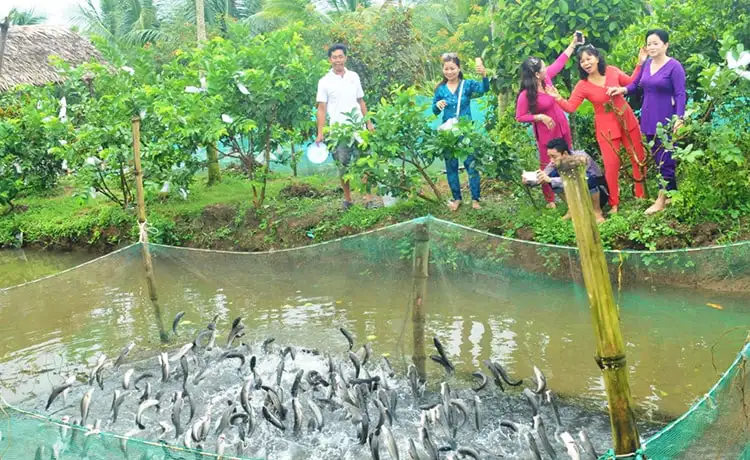 tour du lịch Cần Thơ