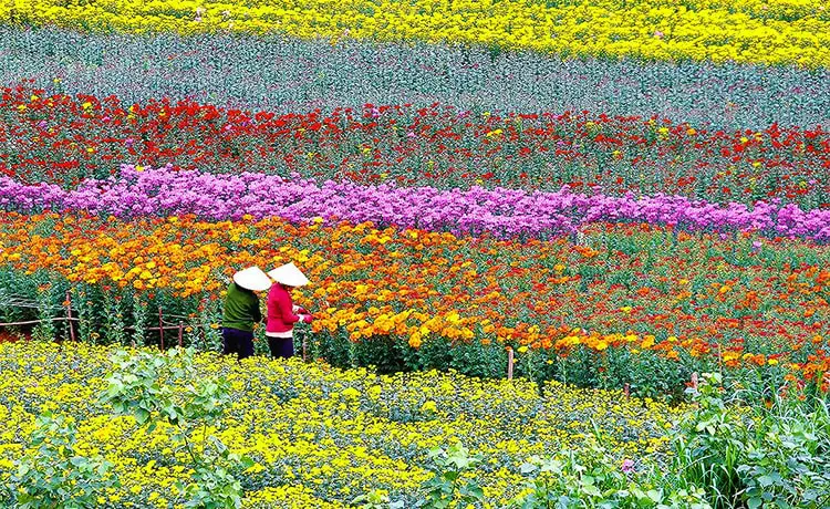 tour du lịch Cần Thơ