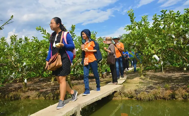 tour du lịch Cần Thơ