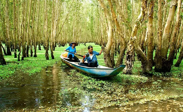 Tour du lịch Châu Đốc - Rừng Tràm Trà Sư 2 ngày 2 đêm