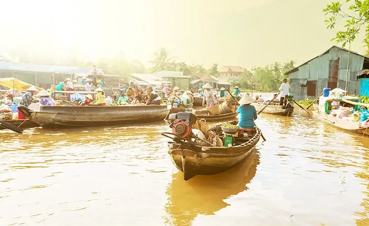 Tour du lịch Châu Đốc - Rừng Tràm Trà Sư - Cần Thơ - Mỹ Tho 3 ngày 2 đêm