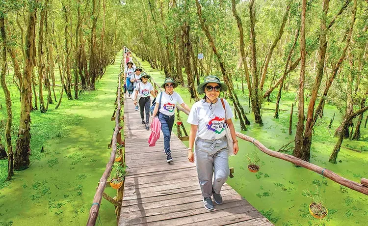 Tour du lịch Châu Đốc - Rừng Tràm Trà Sư - Cần Thơ - Mỹ Tho 3 ngày 2 đêm