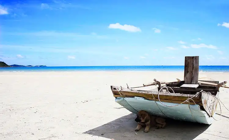 tour du lịch cô tô