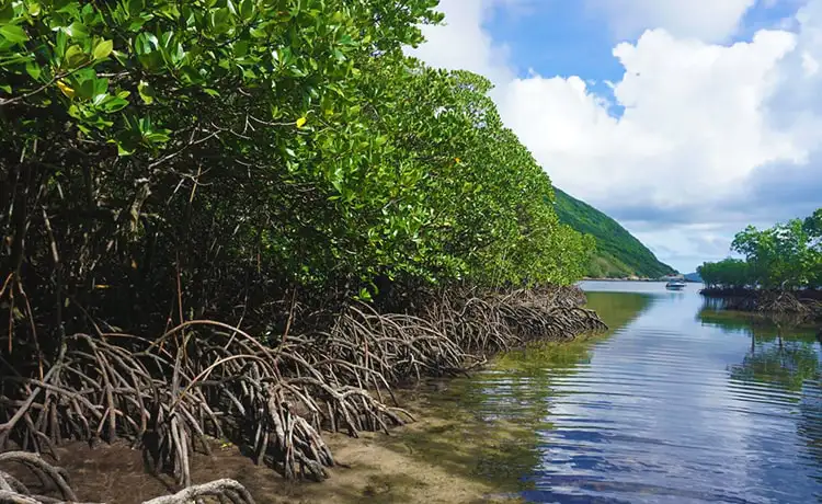 tour du lịch Côn Đảo