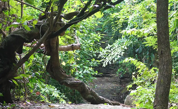 tour du lịch Côn Đảo tour du lịch Côn Đảo