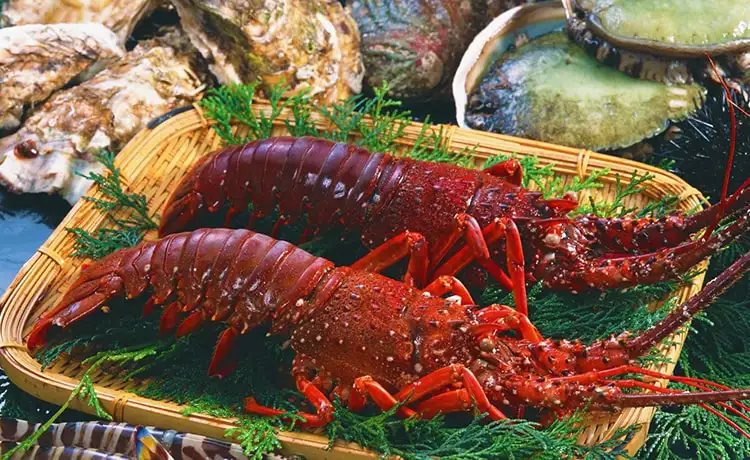 tour du lịch Côn Đảo