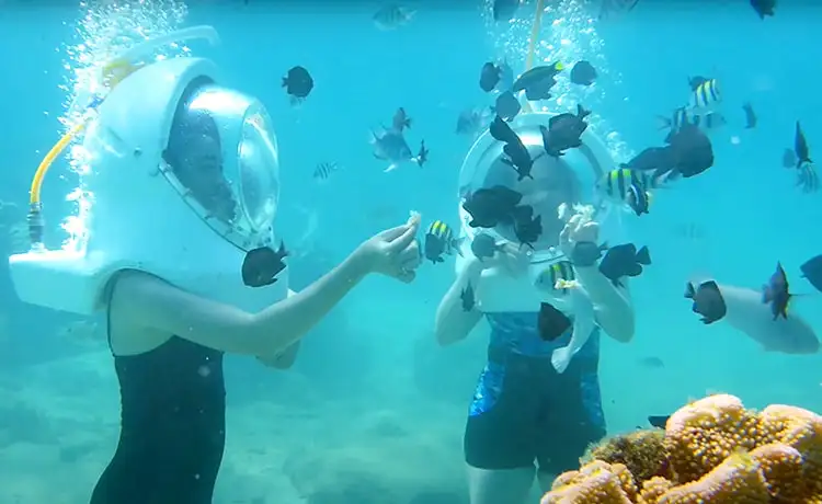 tour du lịch cù lao chàm 1 ngày câu cá lặng ngắm san hô