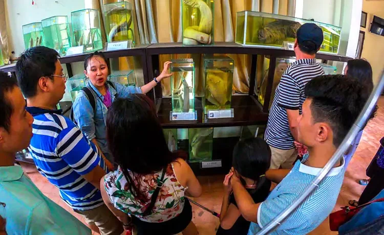 Tour Cù Lao Chàm trong ngày câu cá lặn ngắm san hô