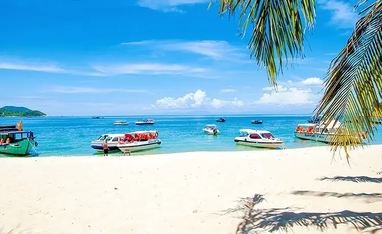 Tour Cù Lao Chàm trong ngày câu cá lặn ngắm san hô