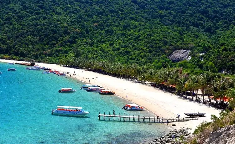 Tour Cù Lao Chàm trong ngày câu cá lặn ngắm san hô