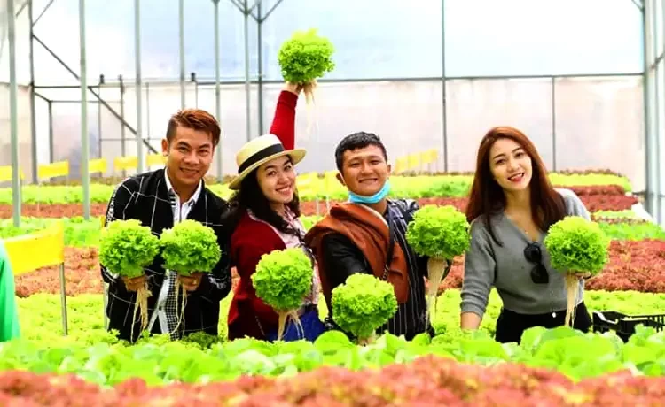 Tour du lịch Đà Lạt 4 ngày 3 đêm