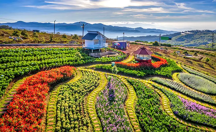 tour du lịch Đà Lạt tour du lịch Đà Lạt