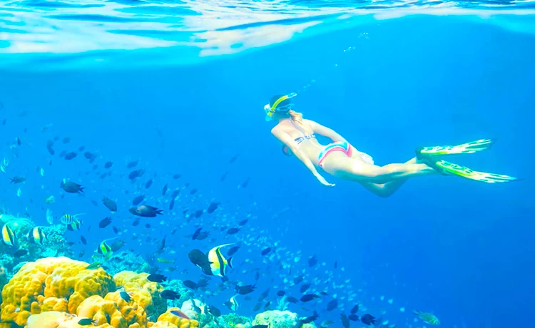 Tour Đà Lạt - Phú Quốc 3 ngày 2 đêm (3N2D) Tour Đà Lạt - Phú Quốc 3 ngày 2 đêm (3N2D)