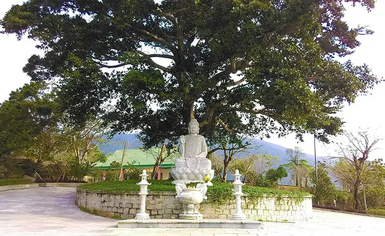 tour du lịch Đà Nẵng