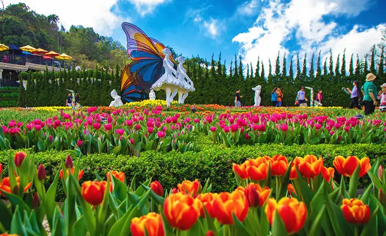 tour du lịch Đà Nẵng