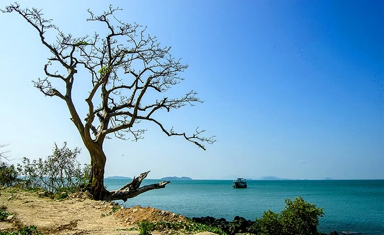 Tour du lịch Hải Tặc 1 ngày