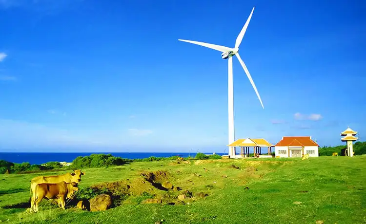 tour du lịch đảo Phú Quý