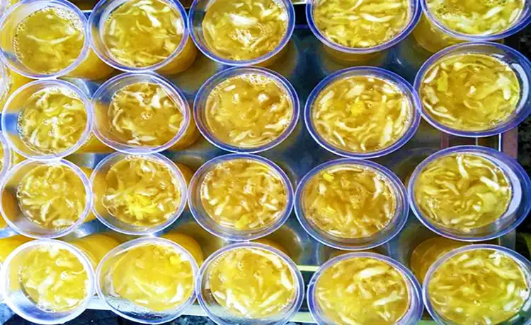 tour du lịch đảo Phú Quý