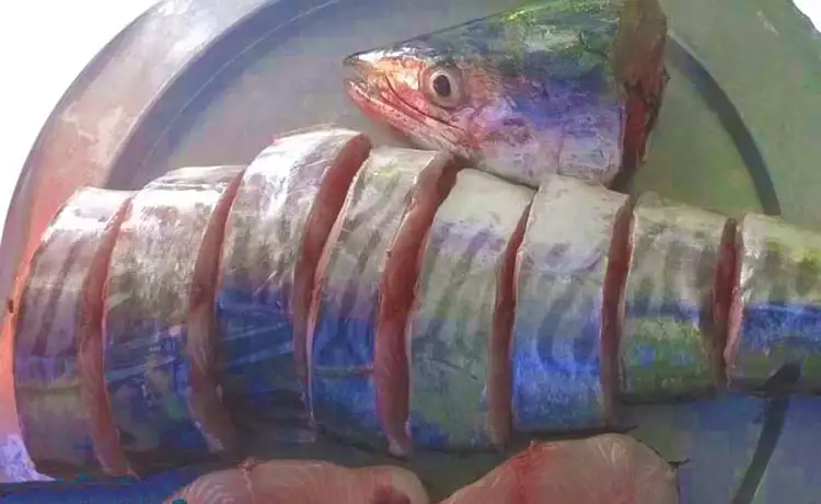 tour du lịch đảo Phú Quý