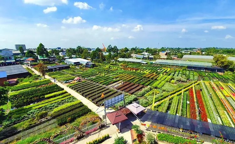 tour du lịch Đồng Tháp