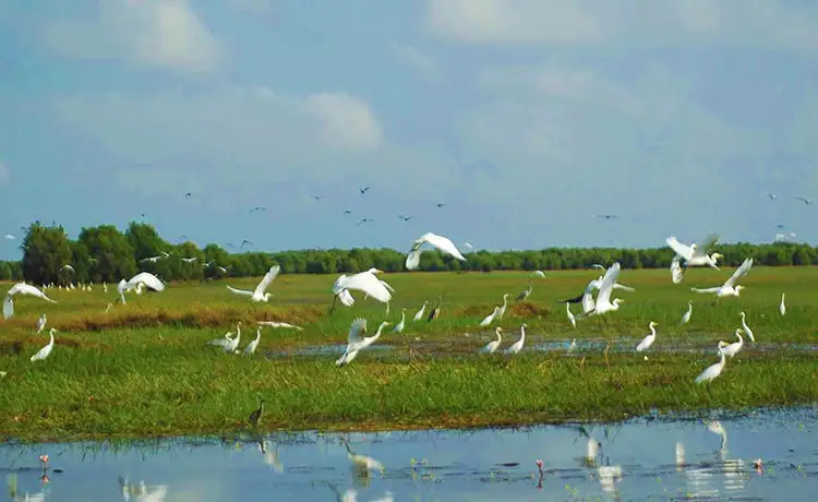 tour du lịch Đồng Tháp
