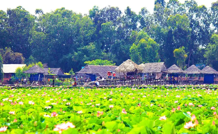 tour du lịch Đồng Tháp