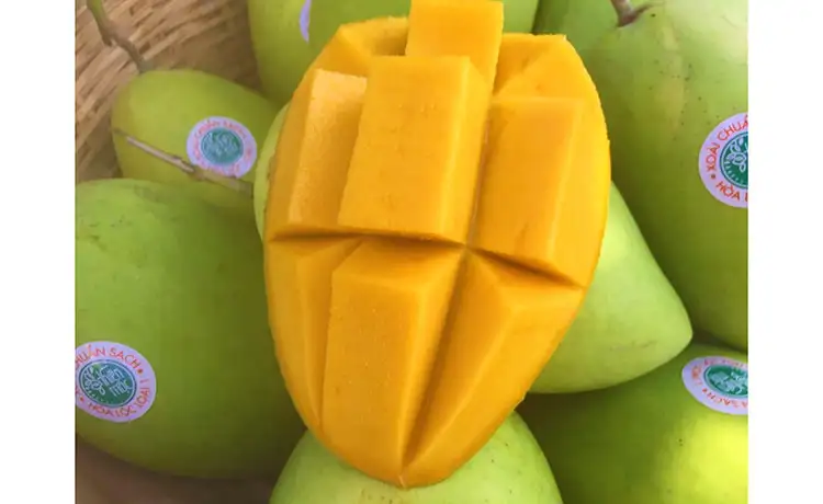 tour du lịch Đồng Tháp