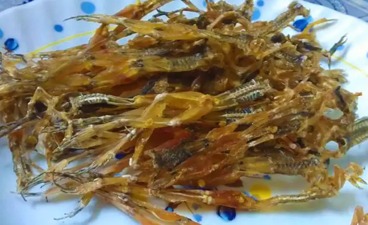 tour du lịch Đồng Tháp