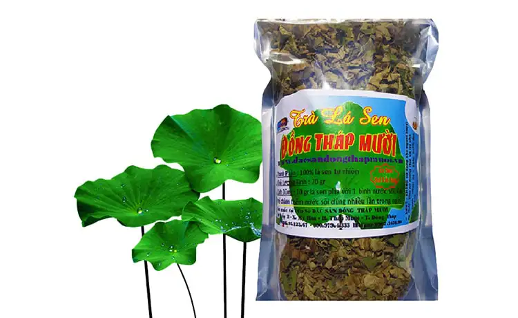 tour du lịch Đồng Tháp tour du lịch Đồng Tháp