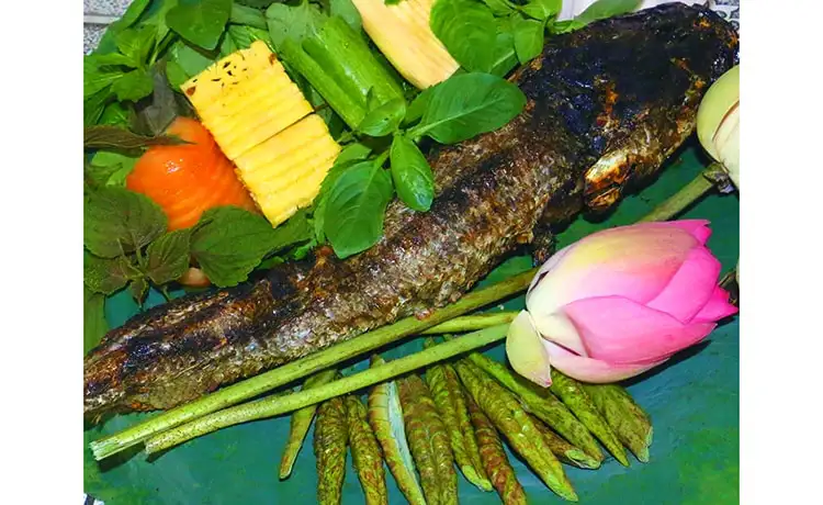 tour du lịch Đồng Tháp