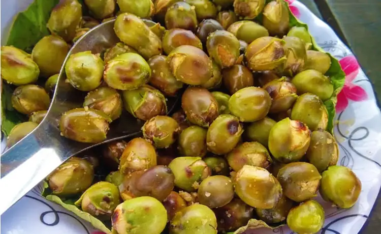 tour du lịch Đồng Tháp