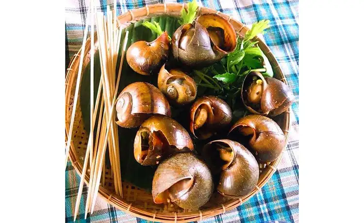 tour du lịch Đồng Tháp