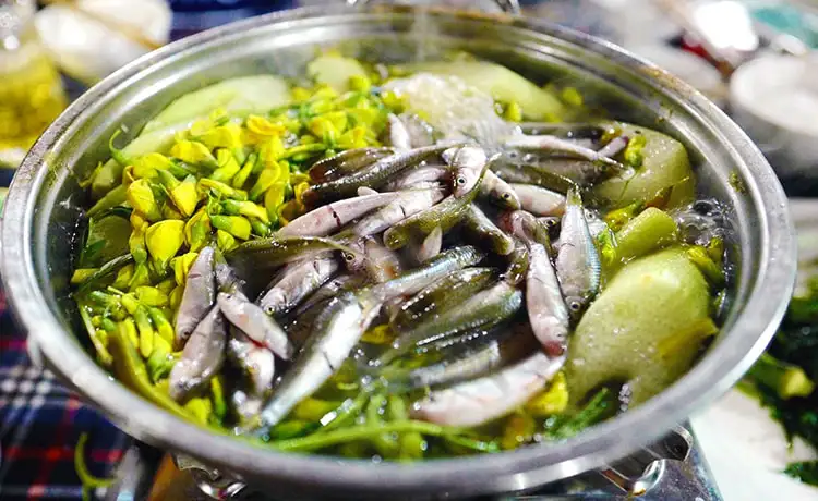 tour du lịch Đồng Tháp