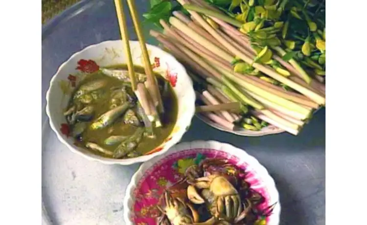 tour du lịch Đồng Tháp