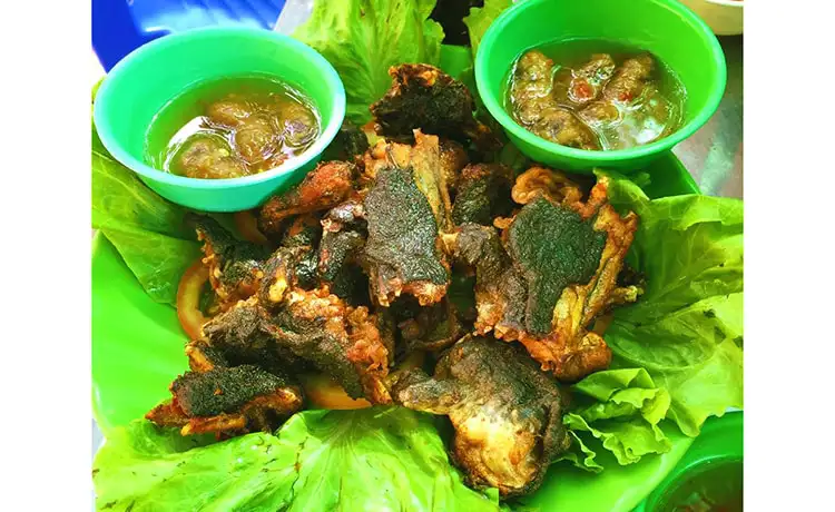 tour du lịch Đồng Tháp