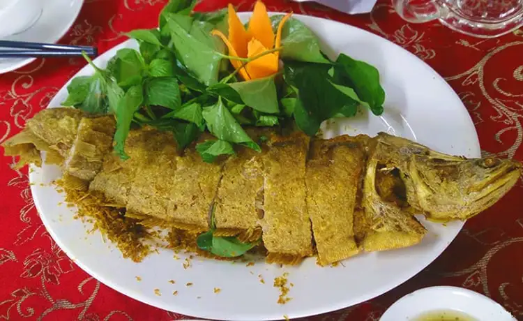 tour du lịch Đồng Tháp