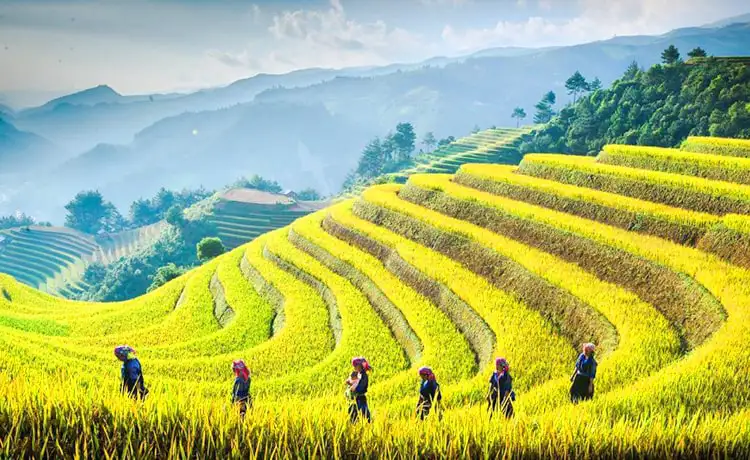 du lịch hà giang du lịch hà giang
