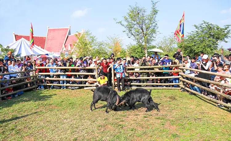 du lịch hà giang du lịch hà giang