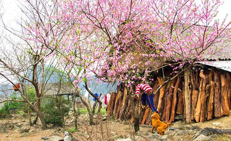 ảnh đẹp du lịch hà giang ảnh đẹp du lịch hà giang